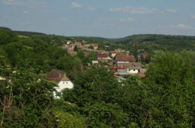 Sot: Iskazana spremnost za uvođenje hrvatskog jezika u službenu uporabu